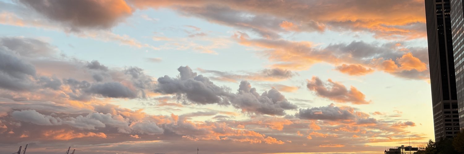 zoebrewerrr's profile banner image