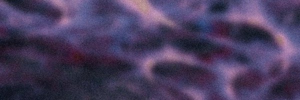 kyliednp Profile Banner