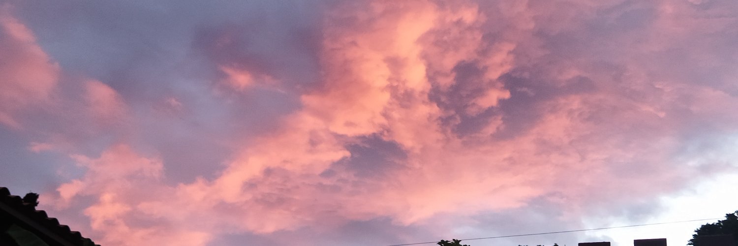 Leidynaty's profile banner image