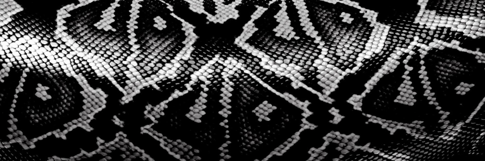 Dimakosmos's profile banner image
