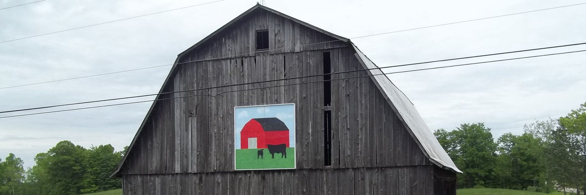 gbierly's profile banner image