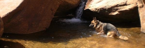 BEskelinen Profile Banner