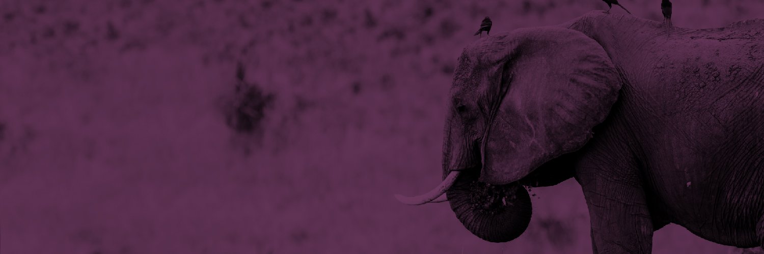 Egerd_com's profile banner image