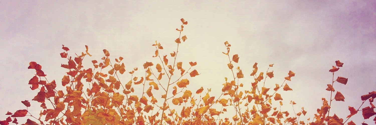 EmmaNewlynYoga's profile banner image