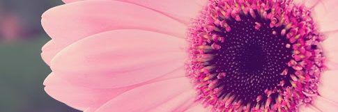 Mar_iel91's profile banner image