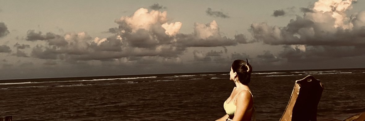 luizann's profile banner image