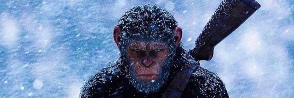 hefty_dollar's profile banner image