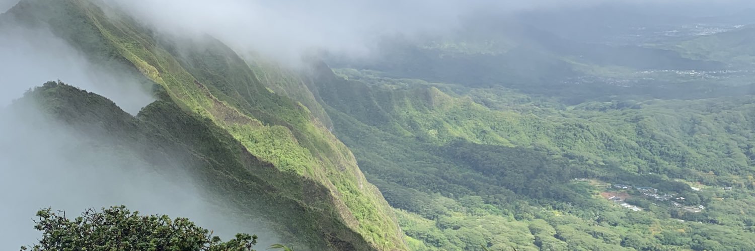 Patrick Steyn banner