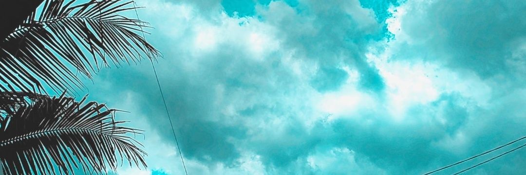 Vheee_Novheee's profile banner image