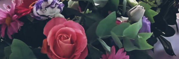 VikiReal1 Profile Banner