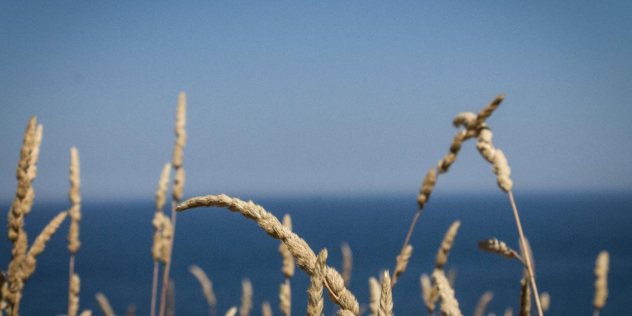 LexAlimentaria's profile banner image
