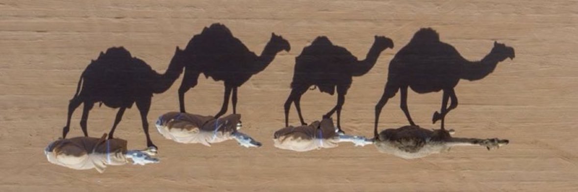 روق banner