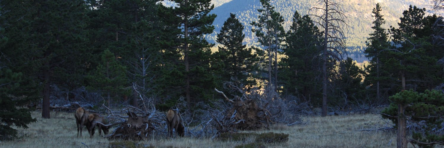 Tyler_J_Adams65's profile banner image