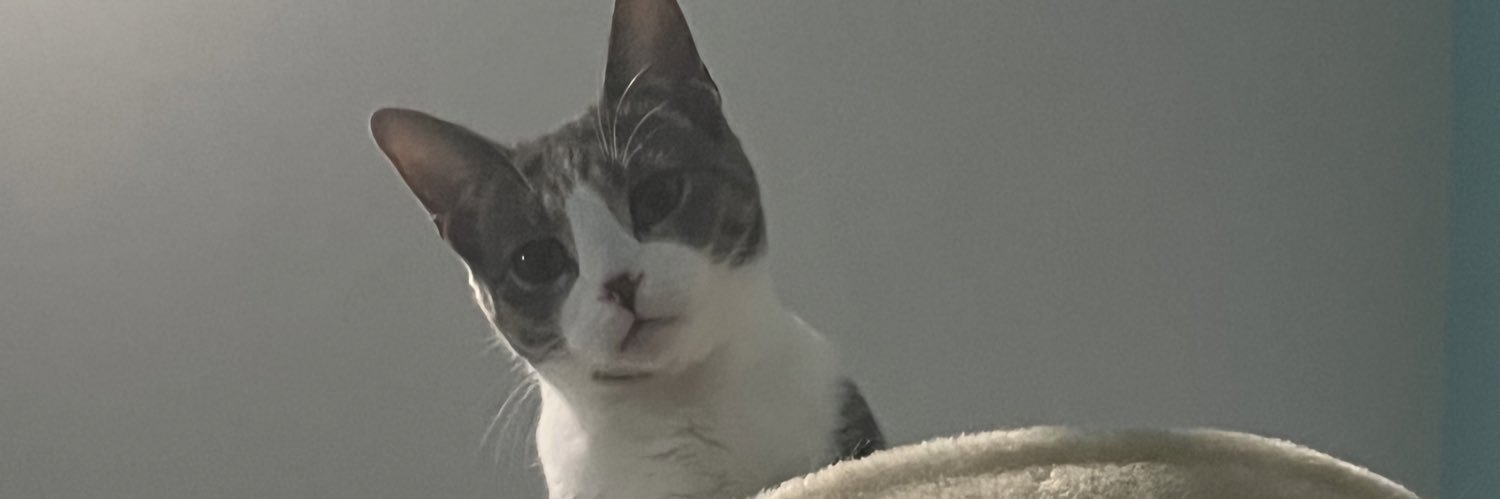 GLNFermata's profile banner image