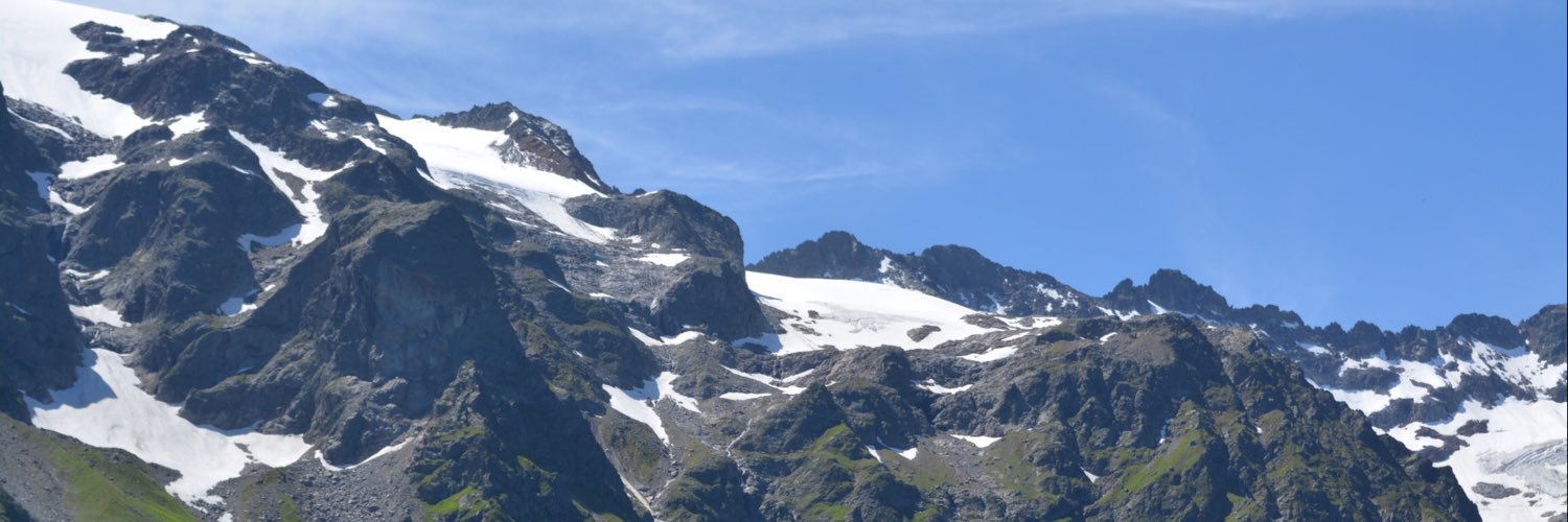 Alison Romm PVC banner