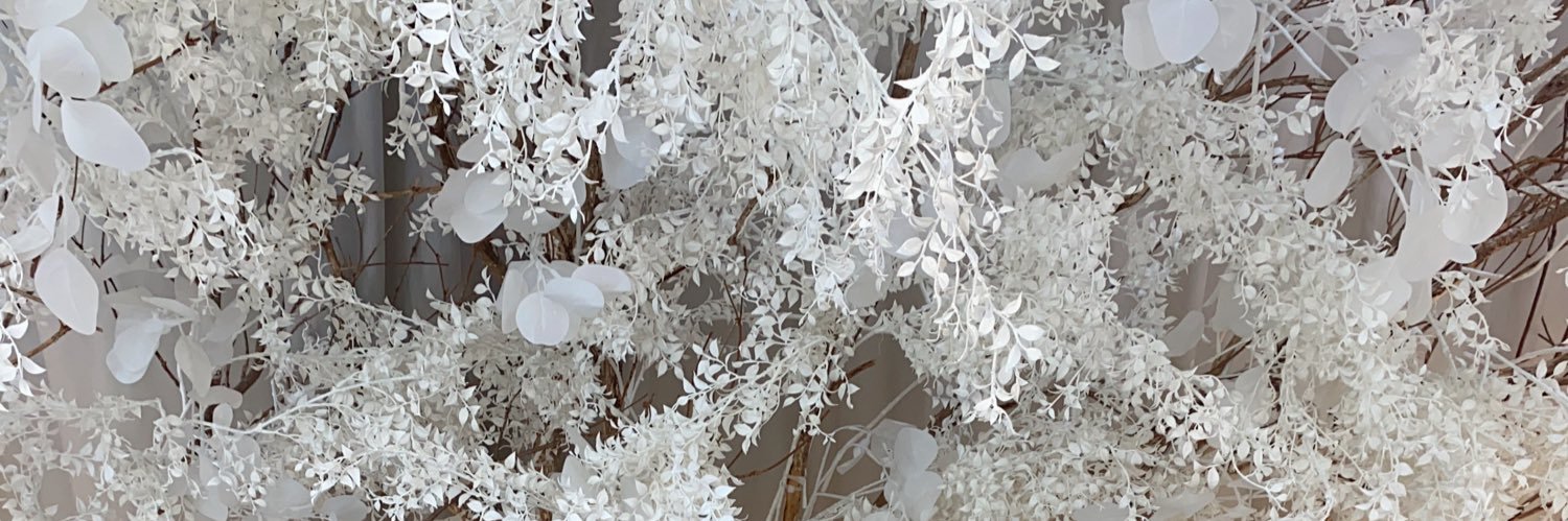 舞雪もも banner