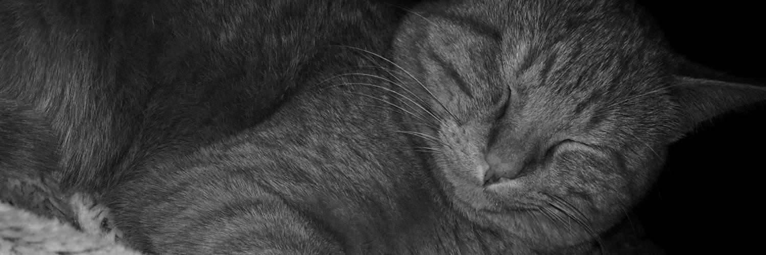 kaylin_may's profile banner image