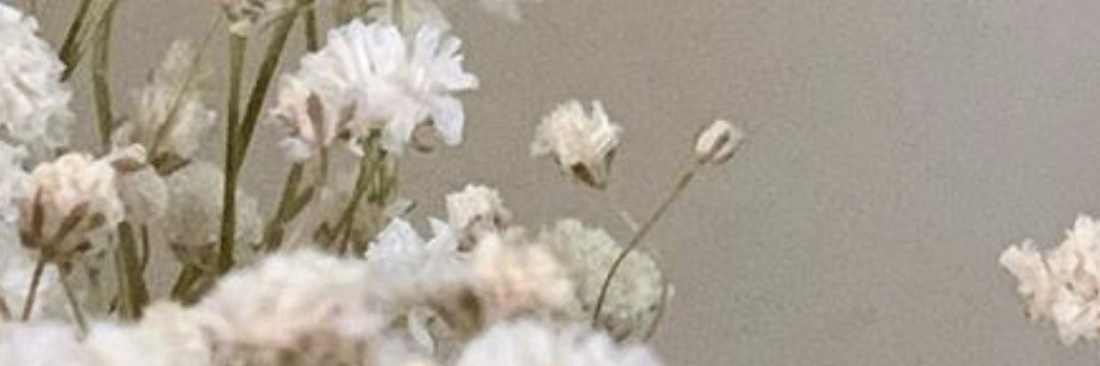 pon.sstudio banner