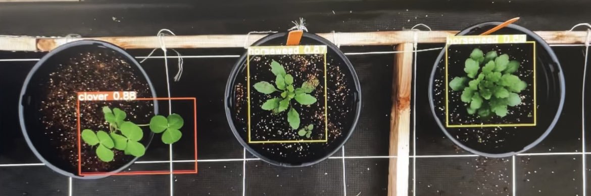 Matthew Kutugata banner