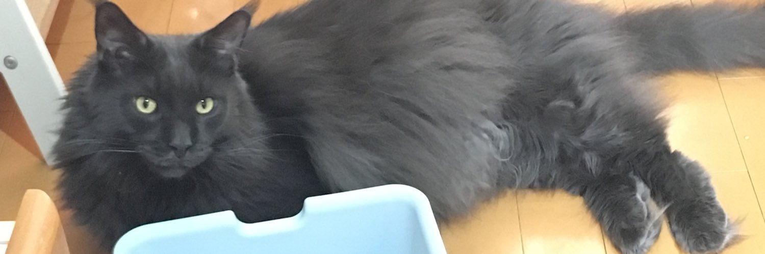 Petit_oimo's profile banner image