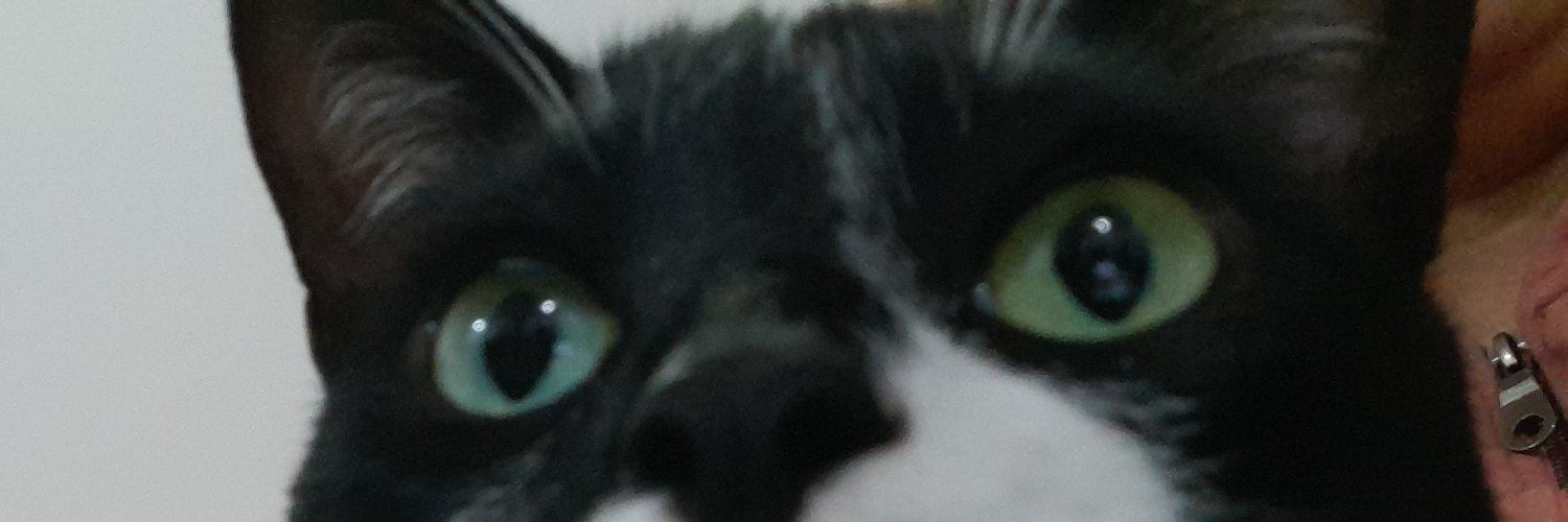 JimenezMarlem's profile banner image