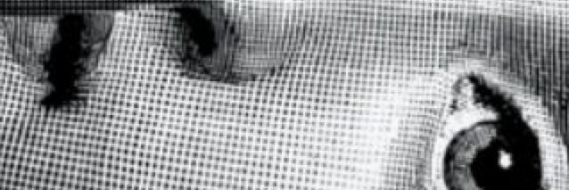 uhdebs's profile banner image