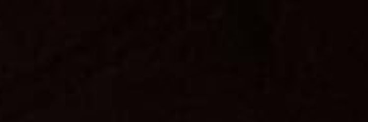 Preben Pettersen banner