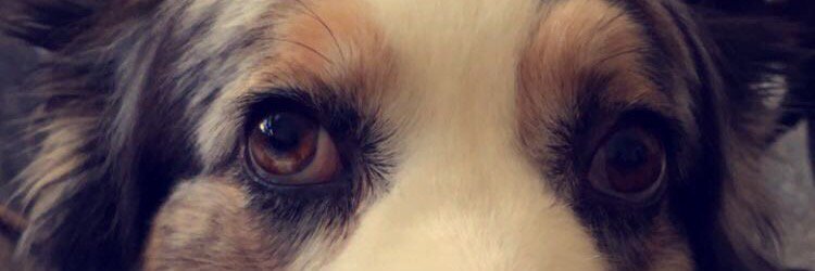 haayyfer's profile banner image