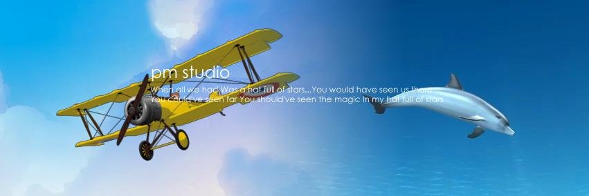 pmstudio banner
