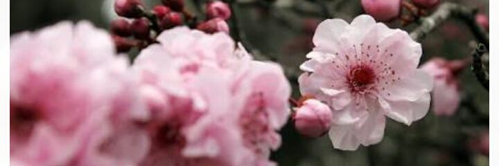 mooreiira_'s profile banner image