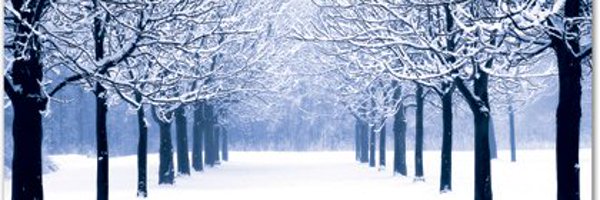 WilliamBWorthy Profile Banner