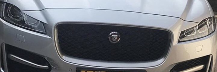 curvygirlme's profile banner image