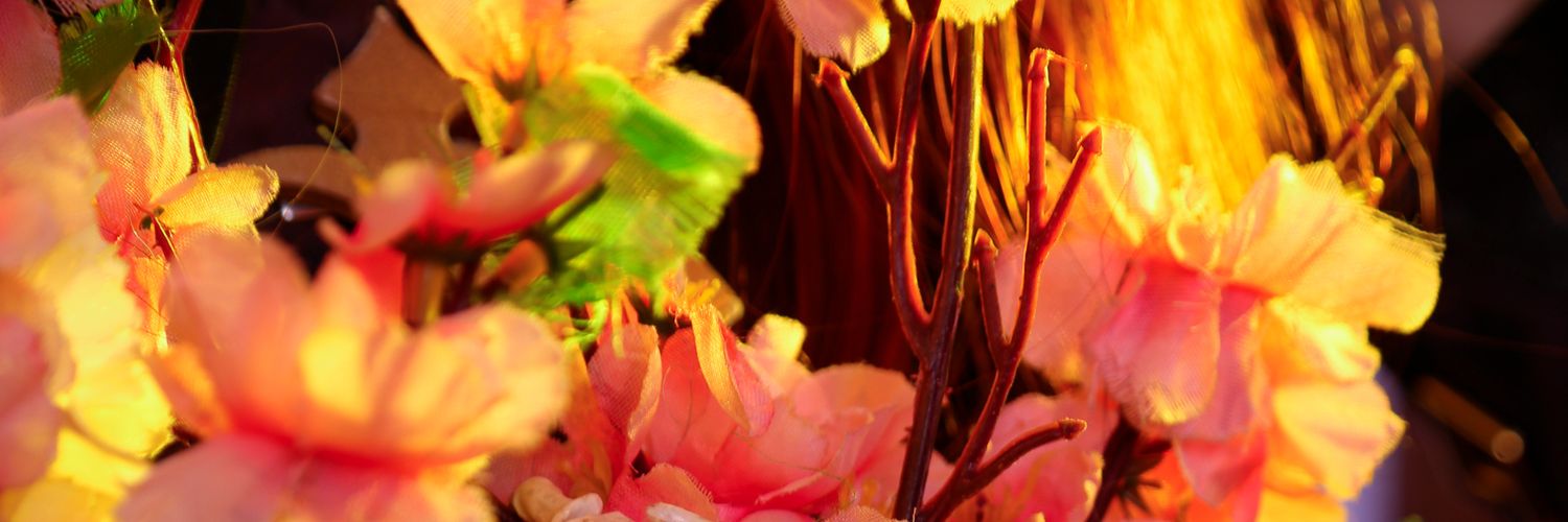 ザワ | 🇯🇵✨🌈 banner