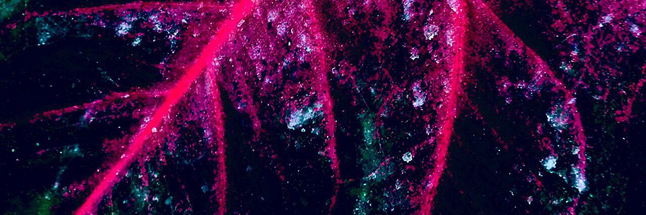 efebetagamma's profile banner image