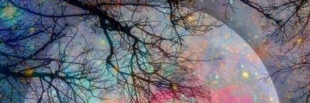 ANNNA_LUNA's profile banner image