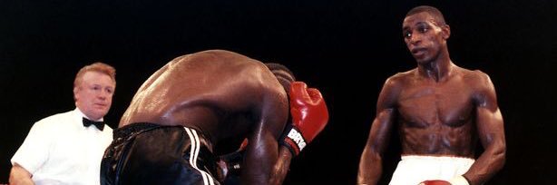 Flying elbow kick banner