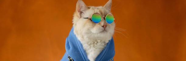 Brazil, i’m devastated banner