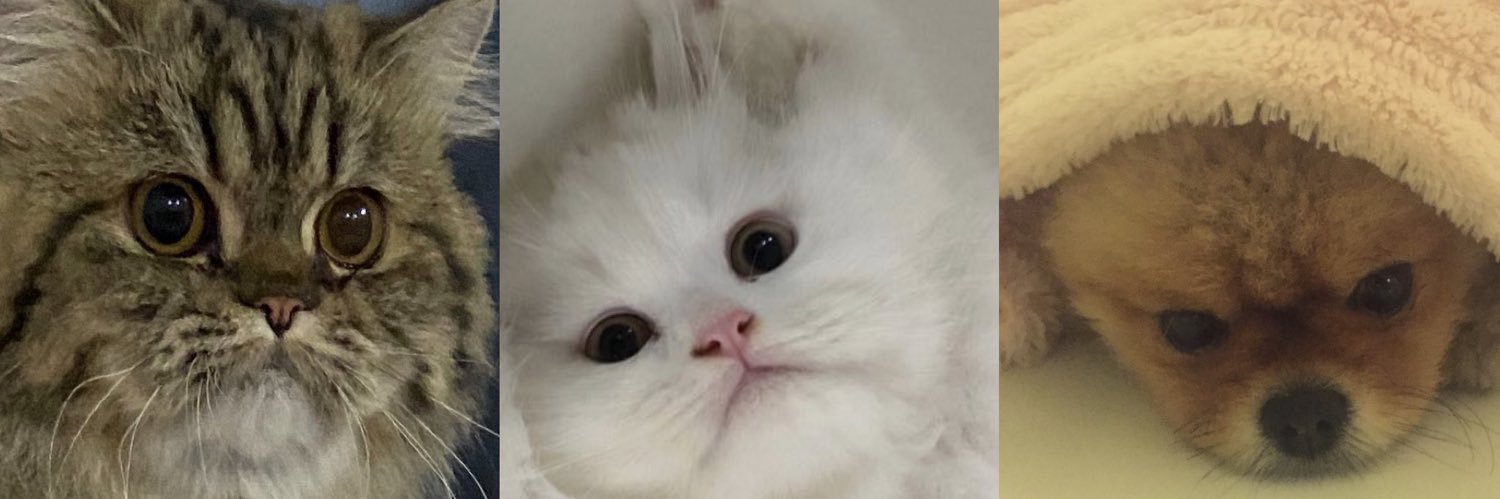 เอ้วเปนมามี๊แมวแง๊วง๊าว 🐱's banner