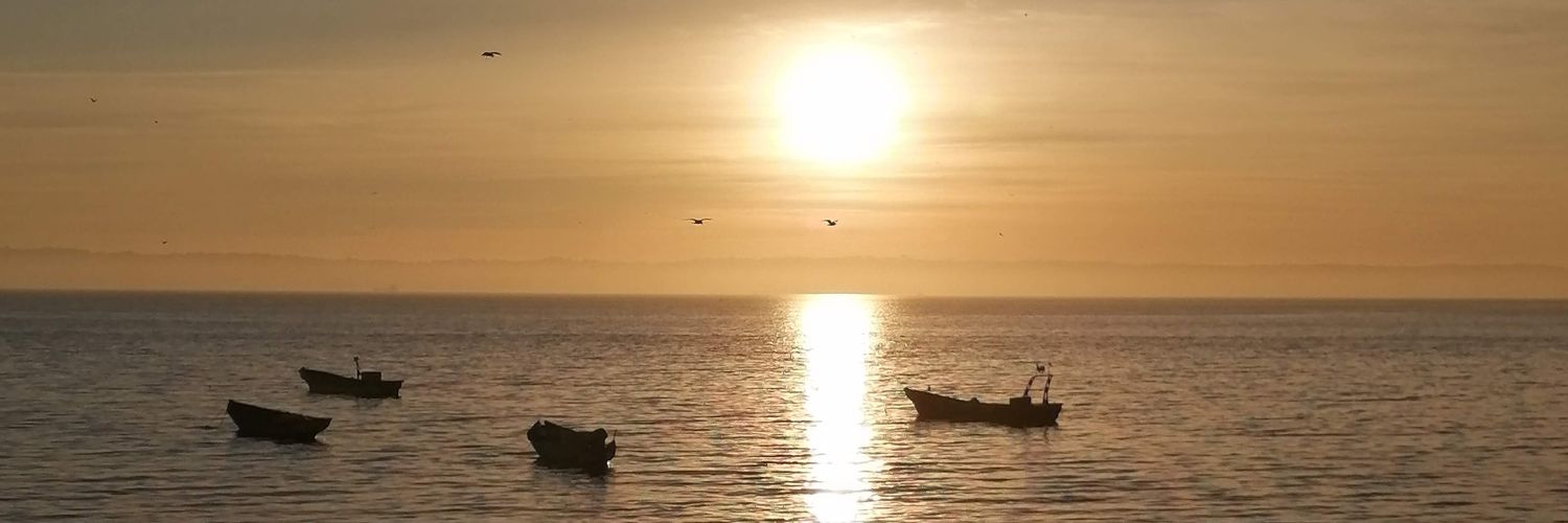 paocasti's profile banner image