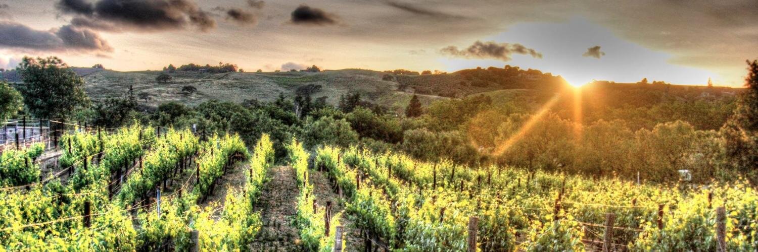 SolminerWine's profile banner image