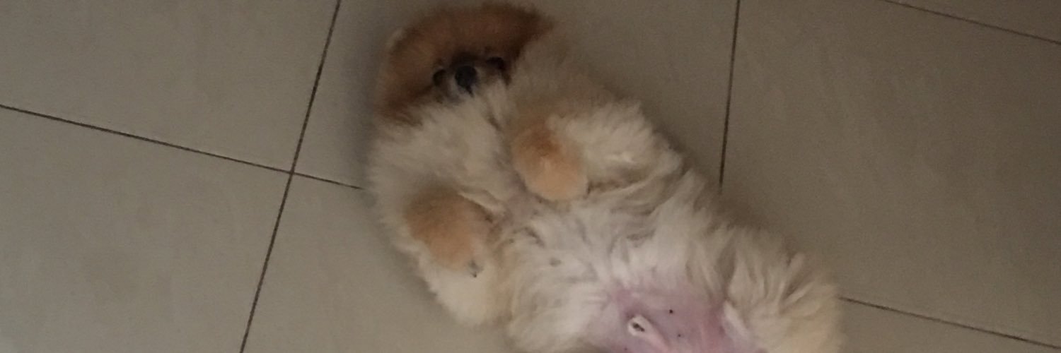 KKaDaSeD's profile banner image