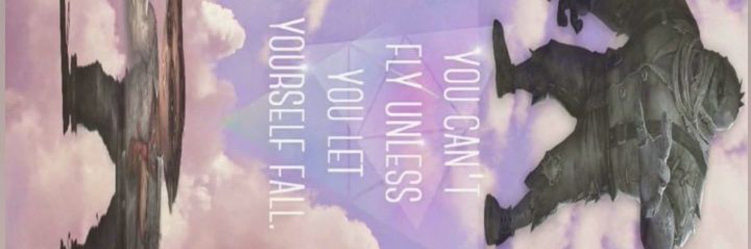 scottie banner