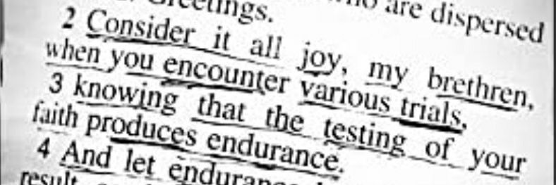 AshleyCrawford banner