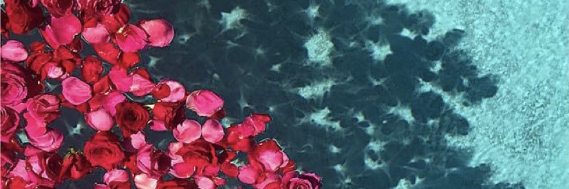 morganlatorre's profile banner image