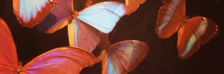 agosrapi's profile banner image
