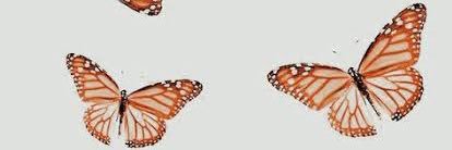 iyugsm's profile banner image