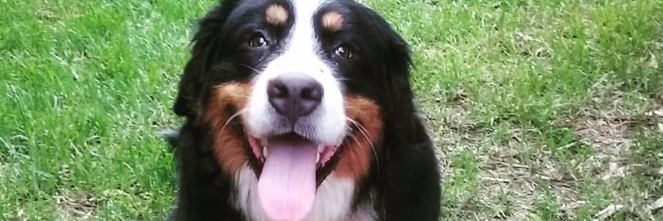 Mileasv's profile banner image