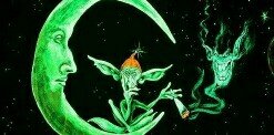 notri08's profile banner image