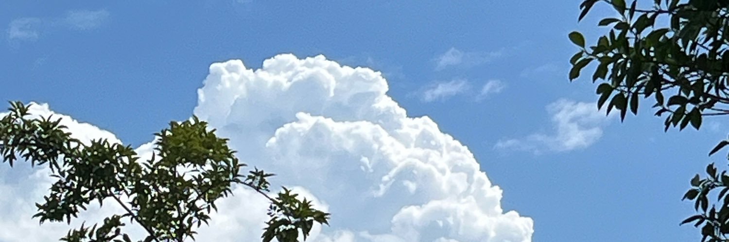 NN banner
