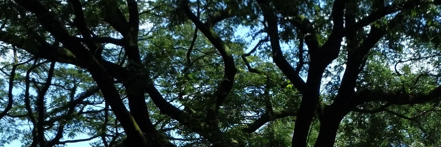 _marieyei's profile banner image